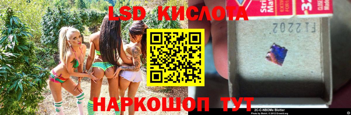 Псилоцибиновые грибы Дзержинск