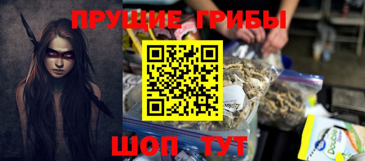 Дзержинск  Псилоцибиновые грибы MAGIC MUSHROOMS  Вход с VPN 